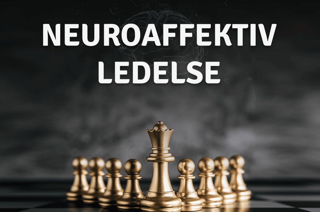 Neuroaffektiv ledelse